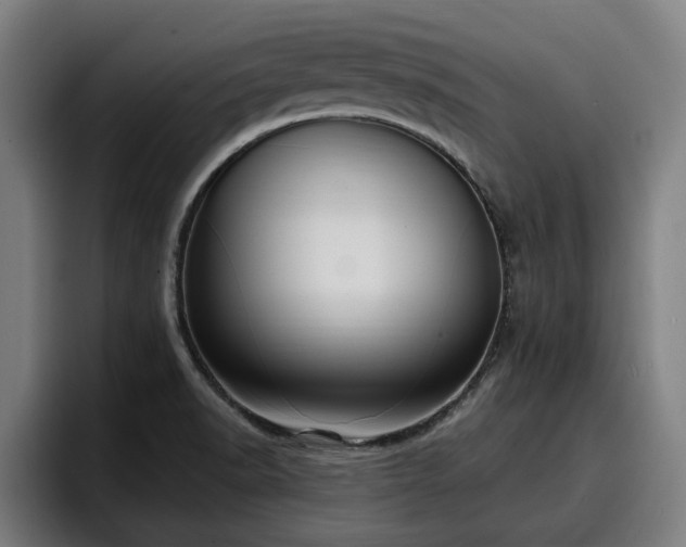 X0000094941518200712061221