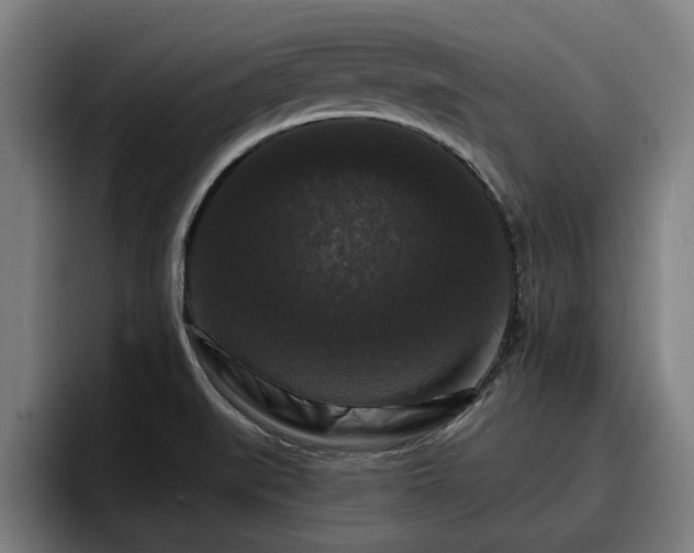 X0000094941519200712061221