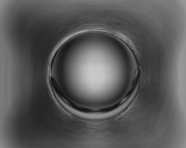 X0000094941520200712061221