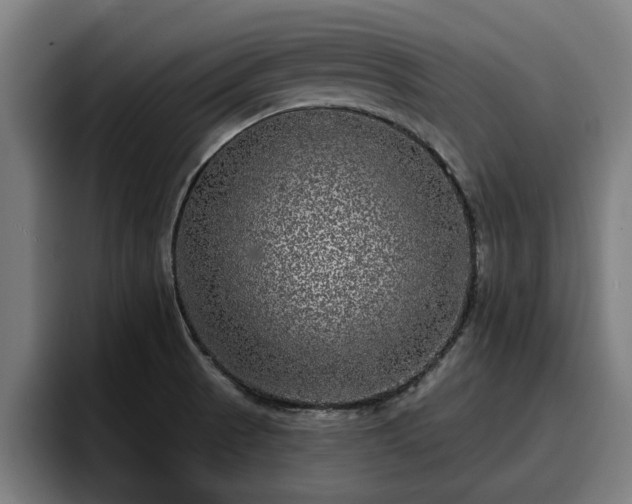 X0000094941521200712061221