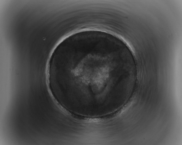 X0000094941522200712061221