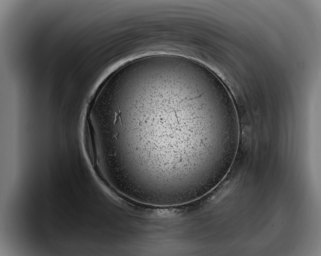 X0000094941523200712061221