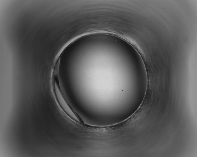 X0000094941524200712061221