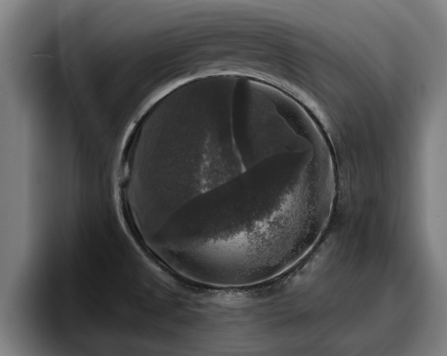 X0000094941525200712061221