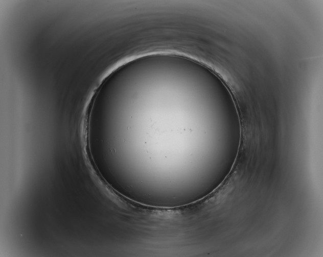 X0000094941526200712061221