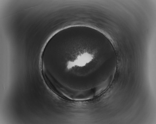 X0000094941527200712061221