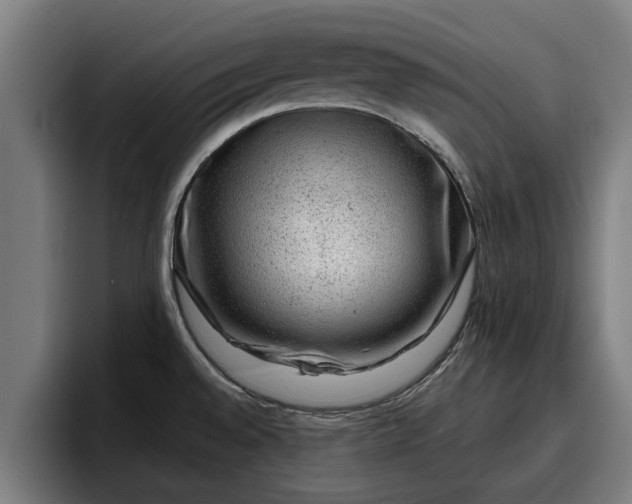 X0000094941528200712061221