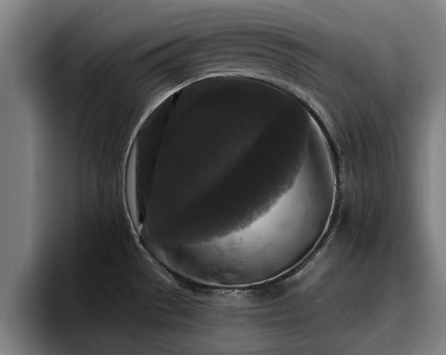 X0000094941529200712061221