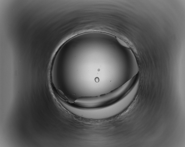 X0000094941530200712061221