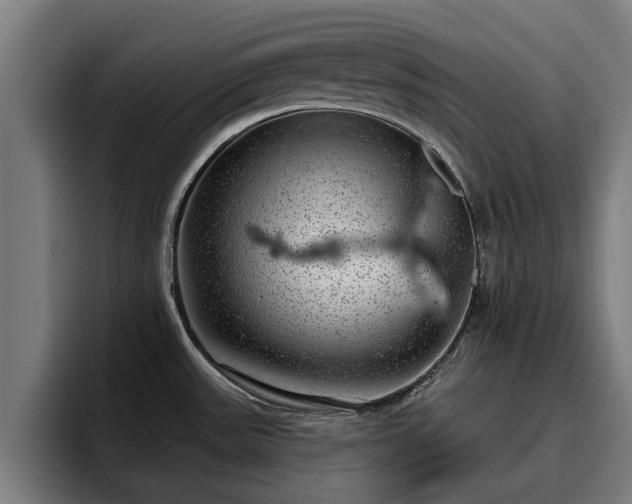 X0000094941531200712061221