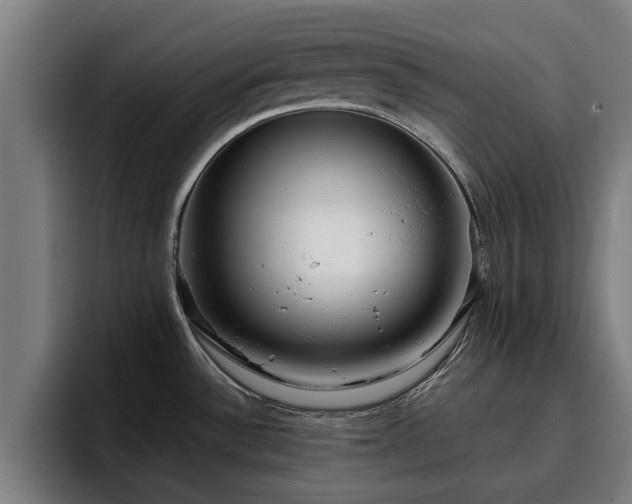 X0000094941532200712061221