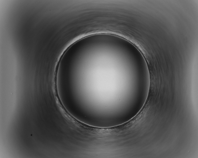 X0000094941534200712061221