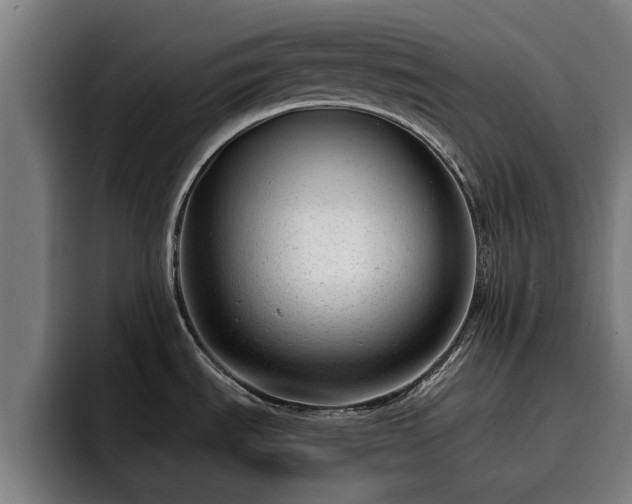 X0000094941535200712061221