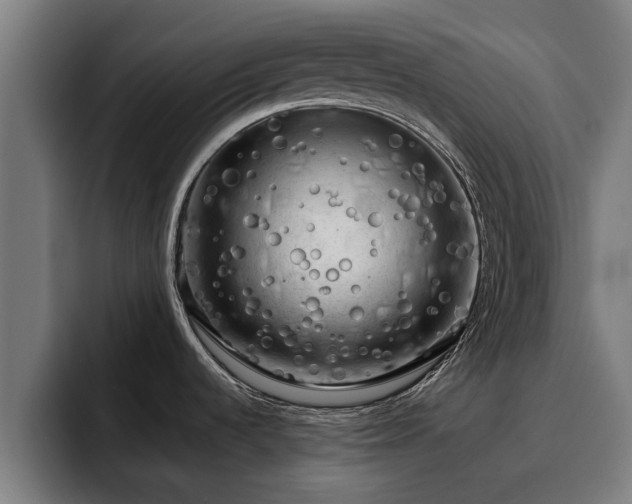 X0000094941536200712061221