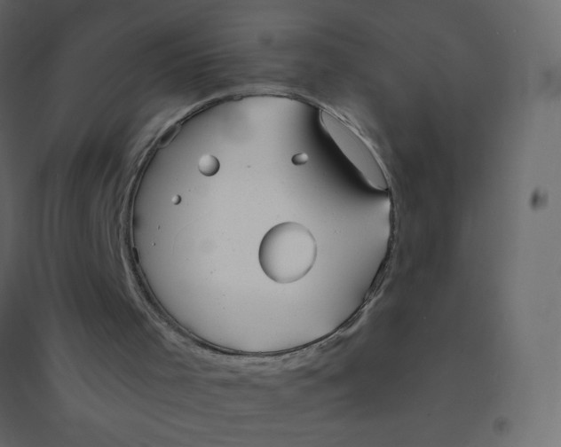 X0000094940001200712131610