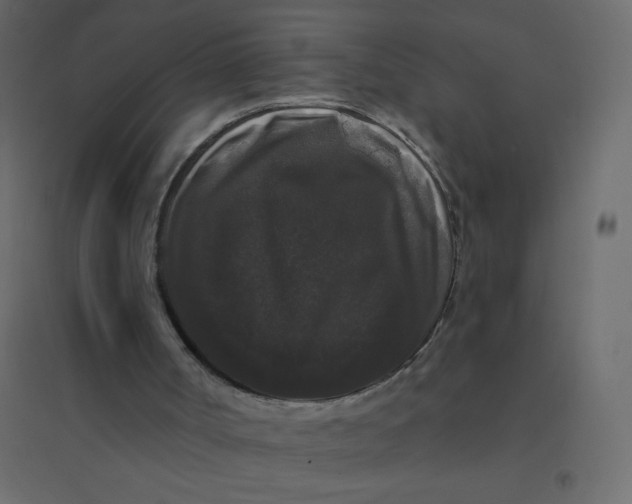 X0000094940002200712131610