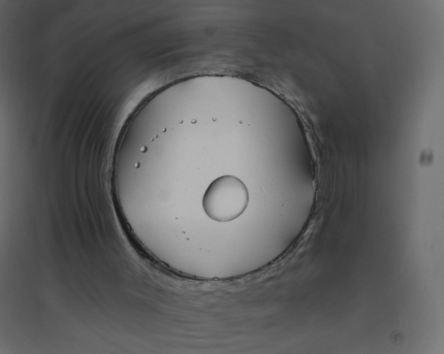 X0000094940003200712131610