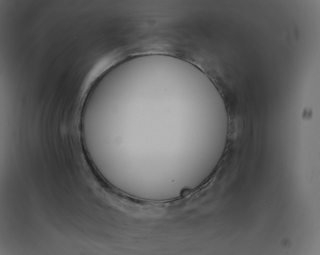 X0000094940004200712131610