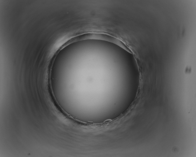 X0000094940005200712131610