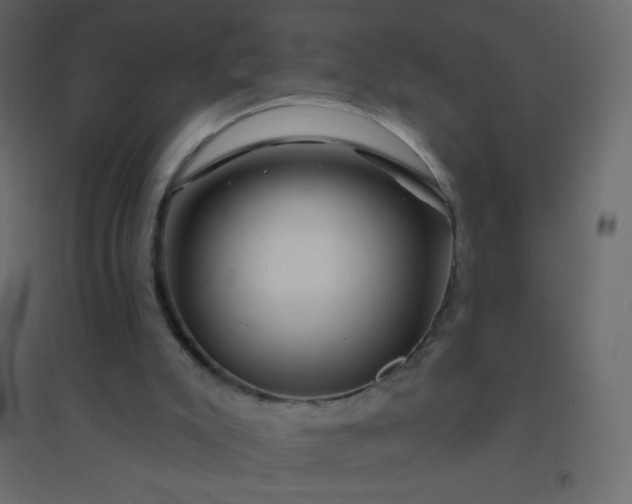 X0000094940007200712131610