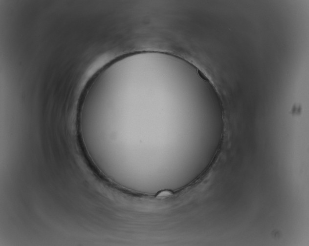 X0000094940008200712131610