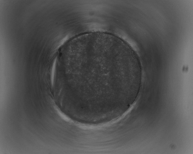 X0000094940009200712131610