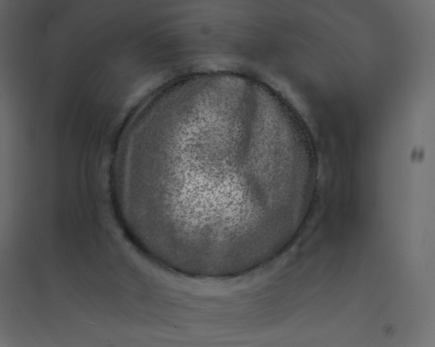 X0000094940010200712131610