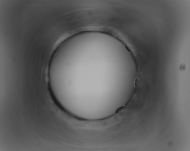 X0000094940011200712131610