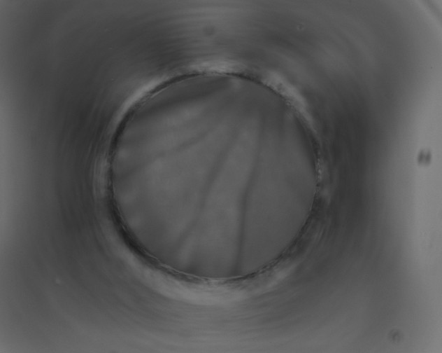 X0000094940012200712131610