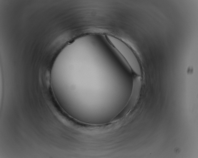 X0000094940013200712131610