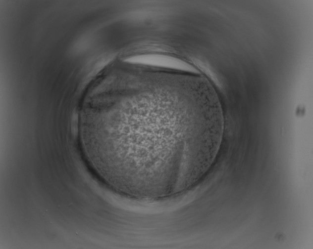 X0000094940014200712131610