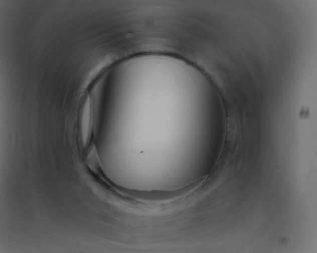 X0000094940015200712131610