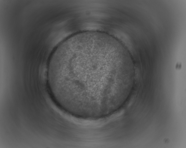 X0000094940016200712131610