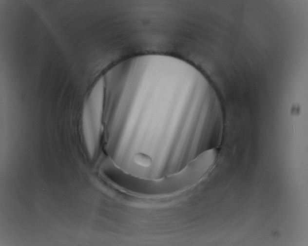 X0000094940017200712131610