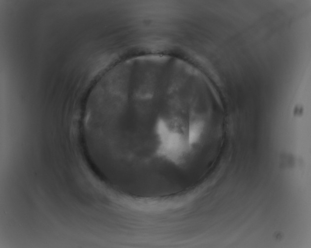 X0000094940018200712131610