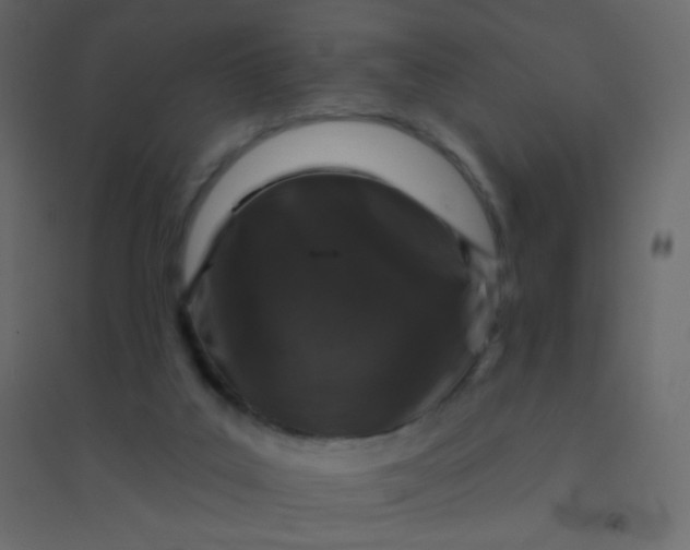 X0000094940019200712131610