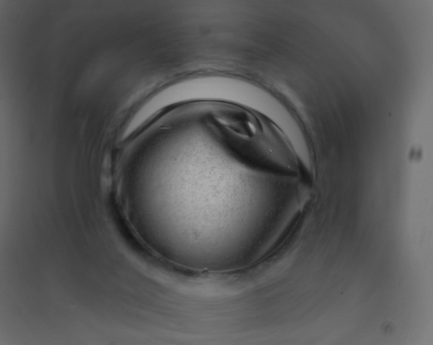 X0000094940020200712131610