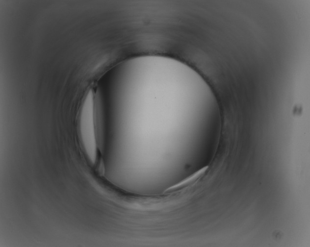 X0000094940021200712131610