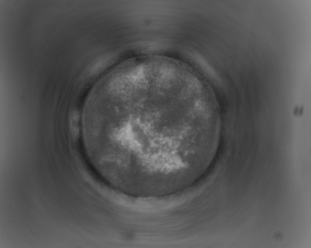 X0000094940022200712131610