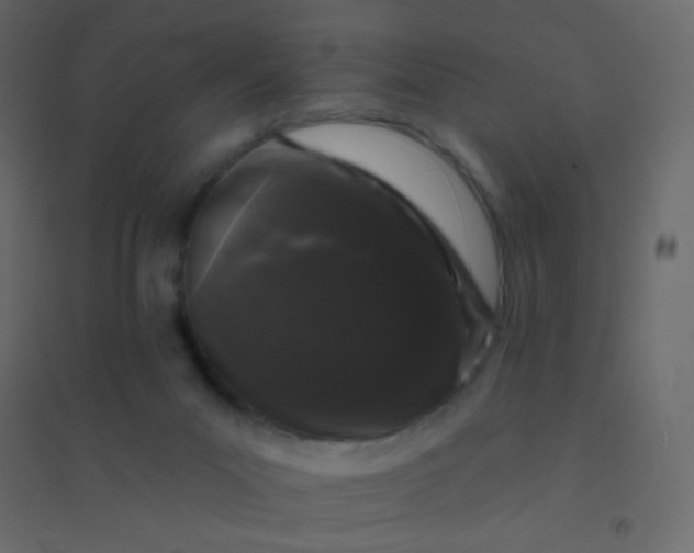 X0000094940023200712131610