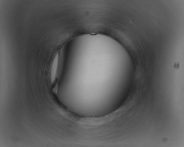 X0000094940025200712131610