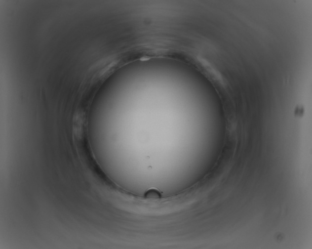 X0000094940026200712131610