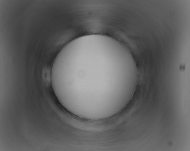 X0000094940028200712131610