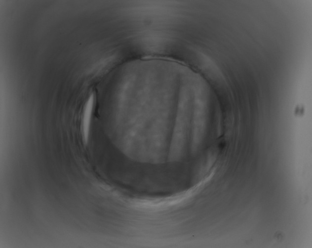 X0000094940029200712131610