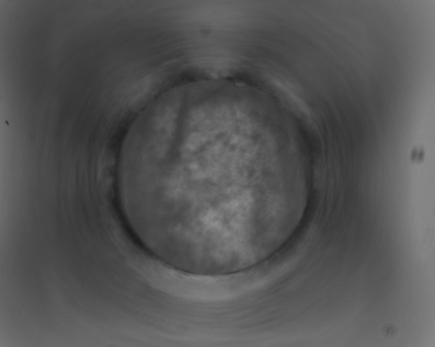 X0000094940030200712131610