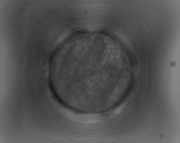 X0000094940032200712131610