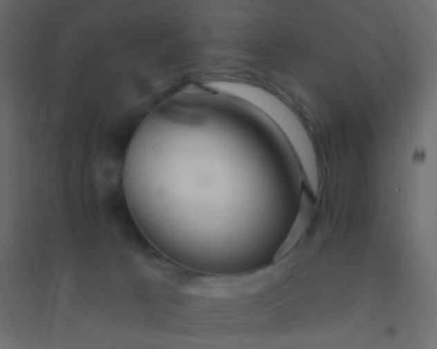 X0000094940033200712131610