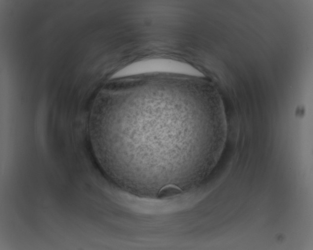 X0000094940034200712131610