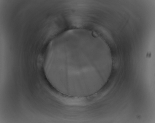 X0000094940036200712131610