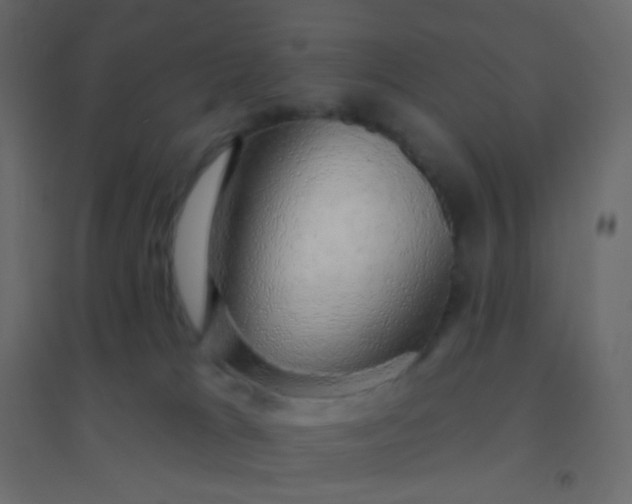 X0000094940037200712131610